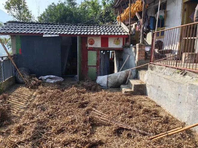 杀熊救妻！农妇深夜遭黑熊入室袭击58岁丈夫搏斗半小时将其反杀